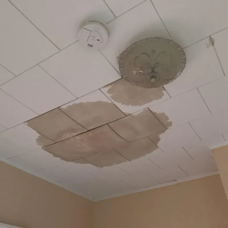 Ceiling Water Damage Repair in Easton, PA