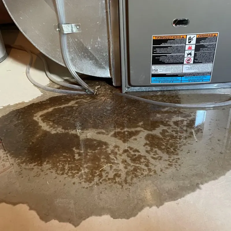 Pipe Burst and Leak Restoration in Easton, PA
