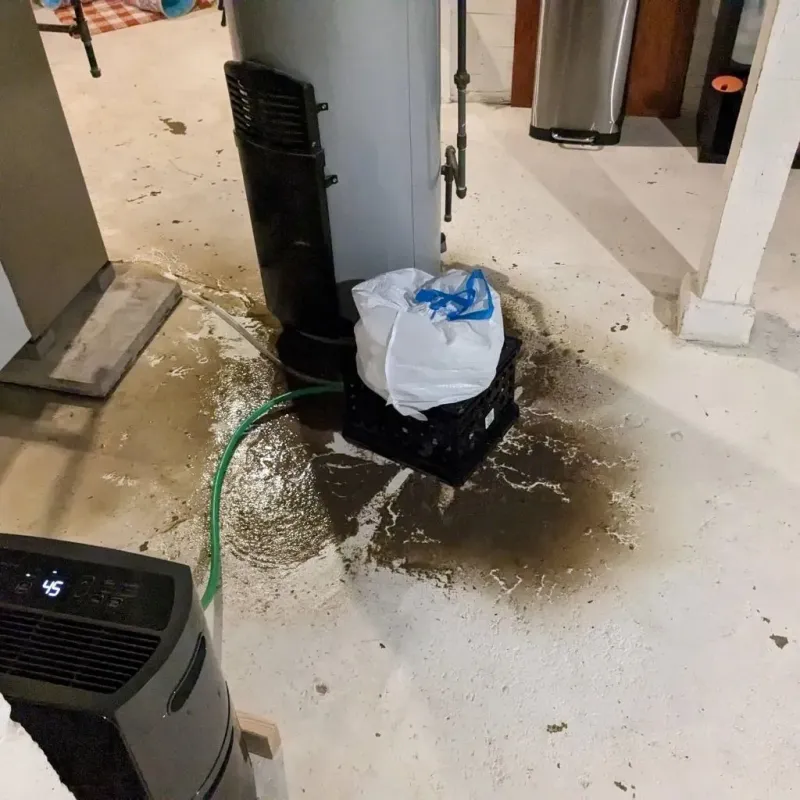 Sewage Backup Cleanup Service in Easton, PA
